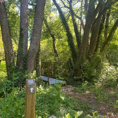 Les Papillons 3* Verteillac