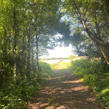 Les Papillons Pensjonat 3*