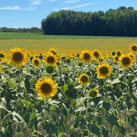 Les Papillons Gasthuis
