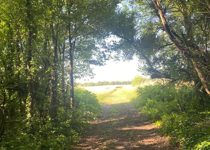 Les Papillons Πανσιόν 3*